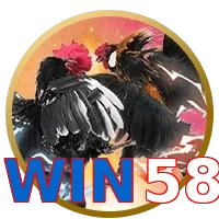 WIN58